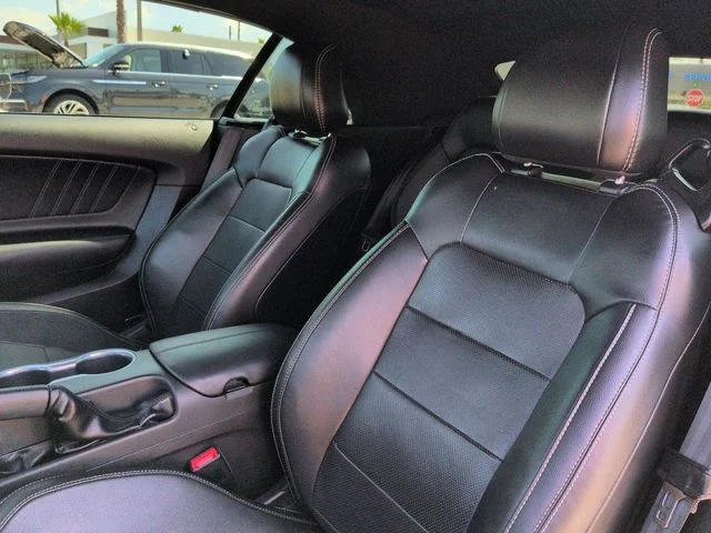 Used 2019 Black Ford EcoBoost Premium image 16