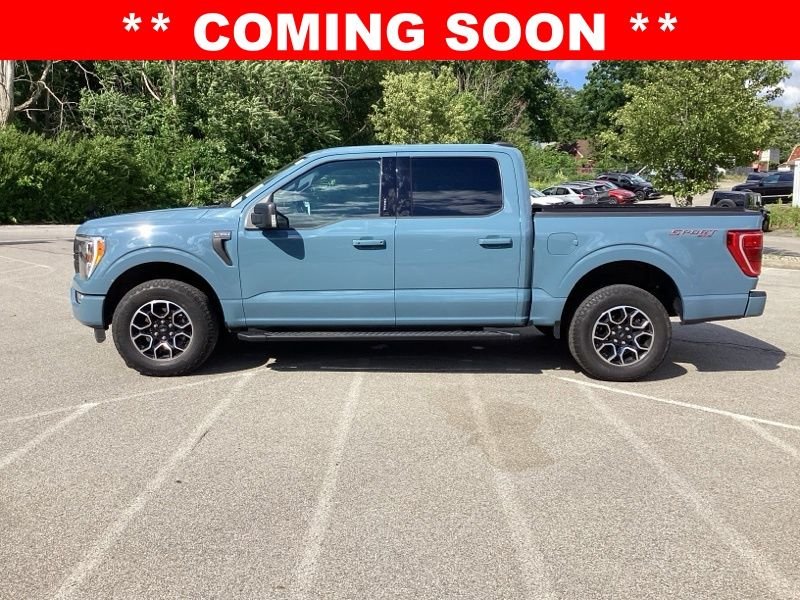 Used 2023 Blue Ford XLT image 4