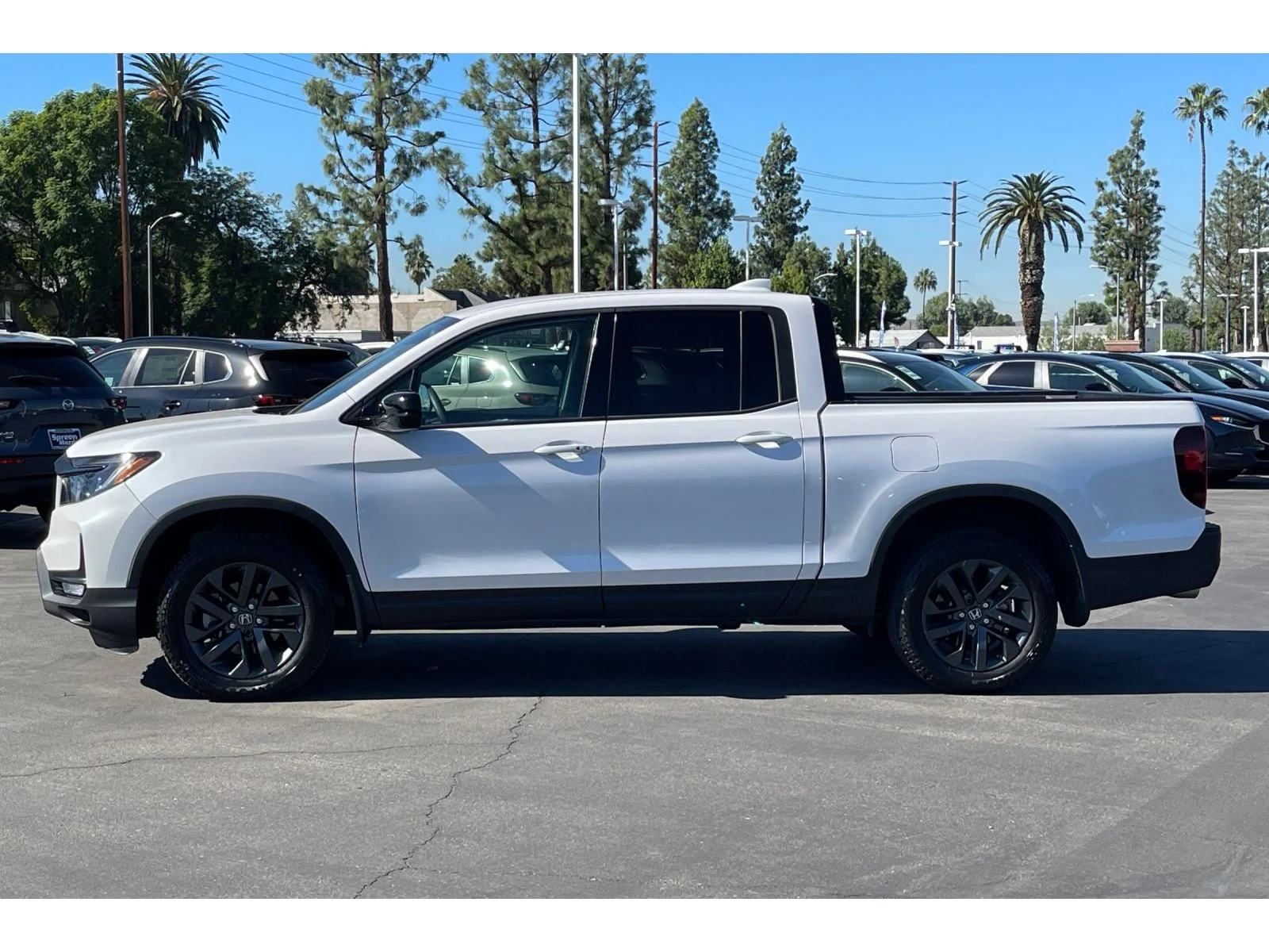 Used 2023 Platinum White Pearl Honda Sport image 2