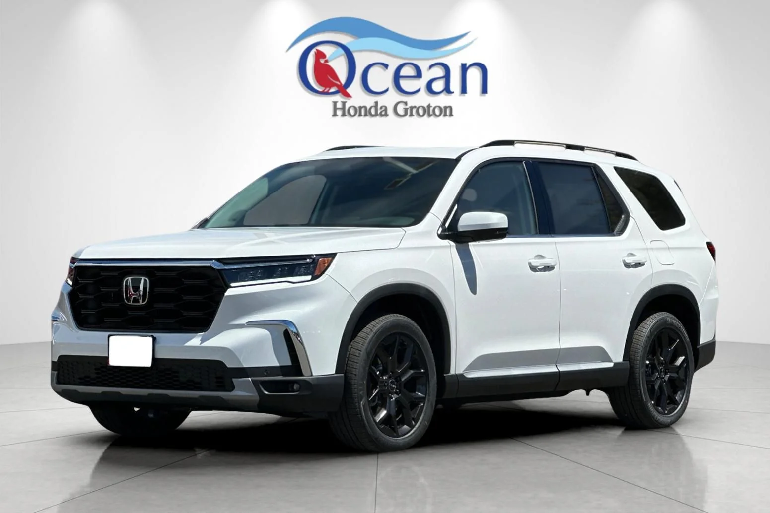 2025 Honda Pilot Touring - Photo 8