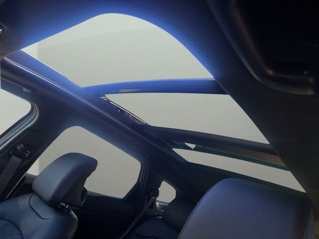 New 2026 Wolf Gray Kia X-Line image 7
