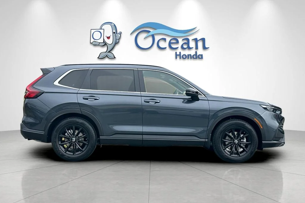 New 2025 Meteorite Gray Metallic Honda Sport image 7