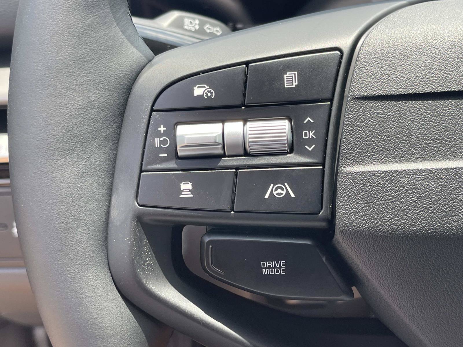 New 2026 Panthera Metal Gray Kia EX image 32