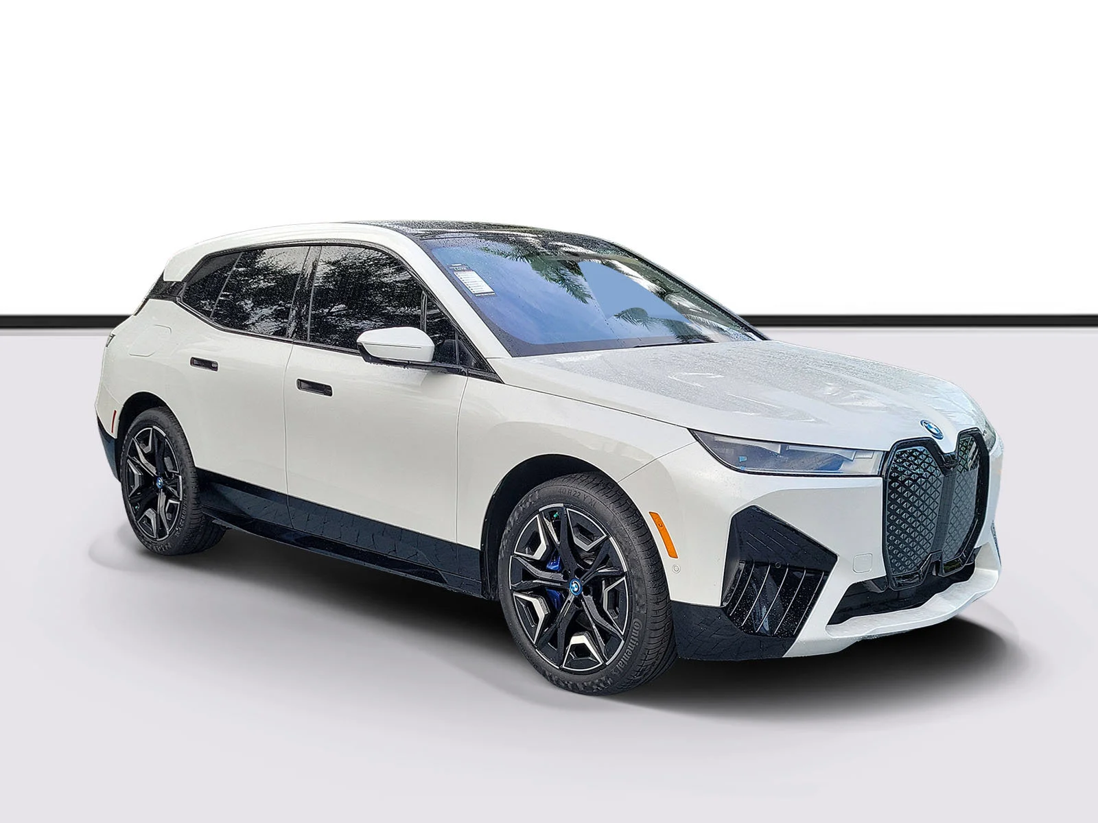 2024 BMW iX
