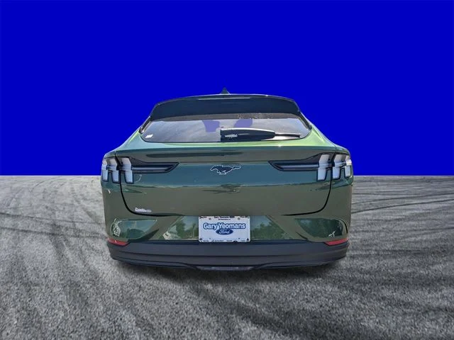 New 2026 Green Ford Premium image 4