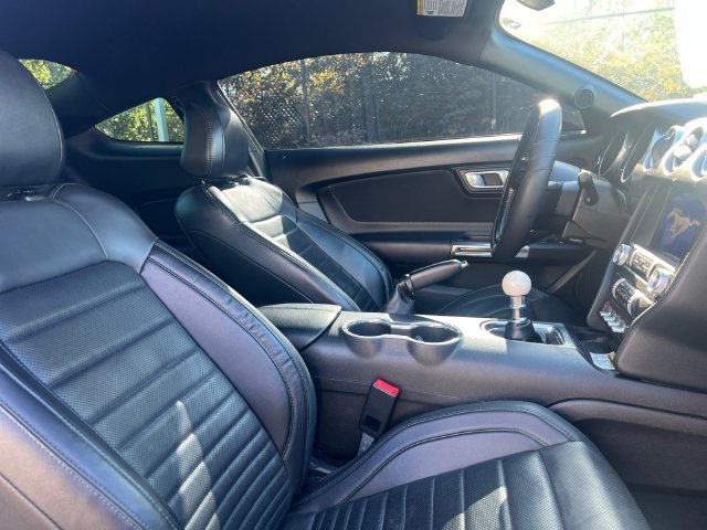 Used 2019 Magnetic Ford GT image 16