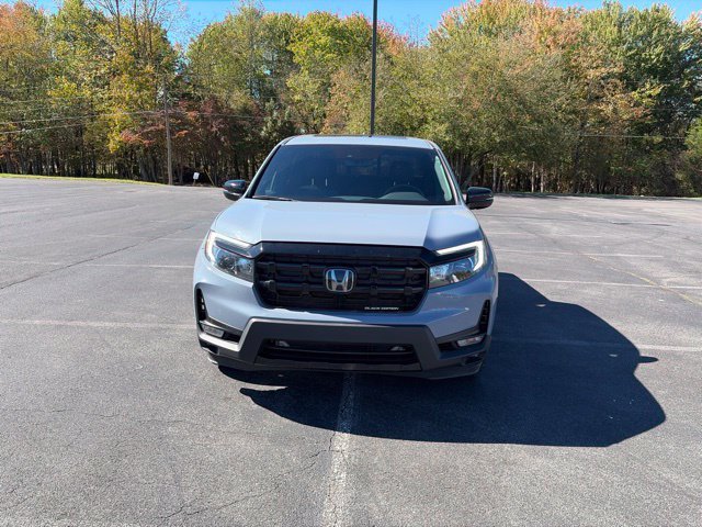 Used 2024 Gray Honda Black Edition image 2