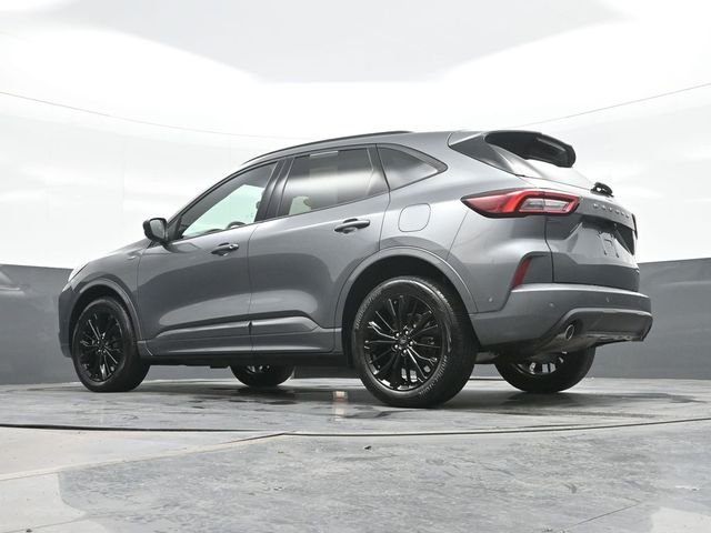 Used 2024 Gray Ford ST-Line Elite image 19