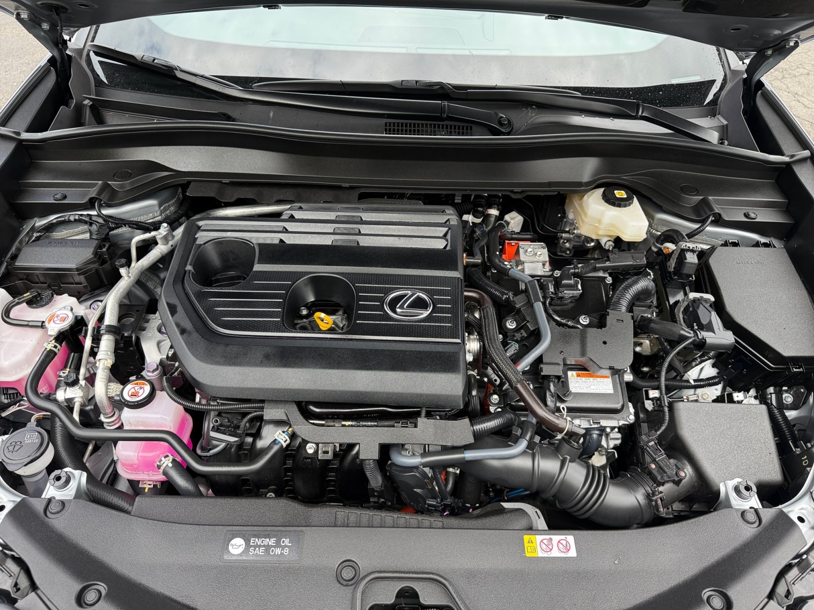 Used 2025 Iridium Lexus 300h image 20