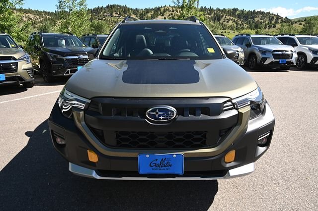 New 2026 AUTUMN GREEN METALLIC Subaru Wilderness image 15