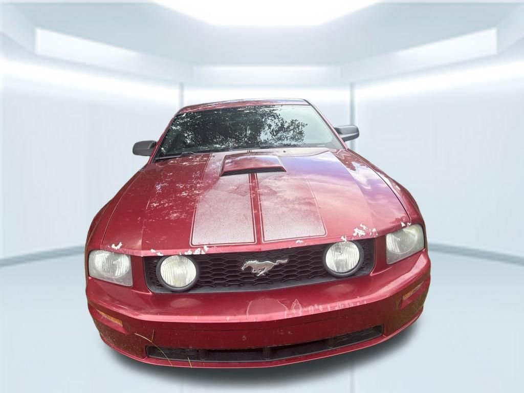 Used 2006  Ford GT Deluxe image 13