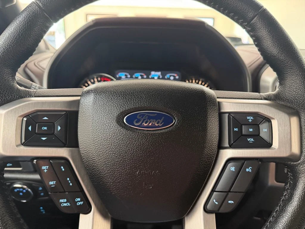 Used 2015 Gray Ford Platinum image 19