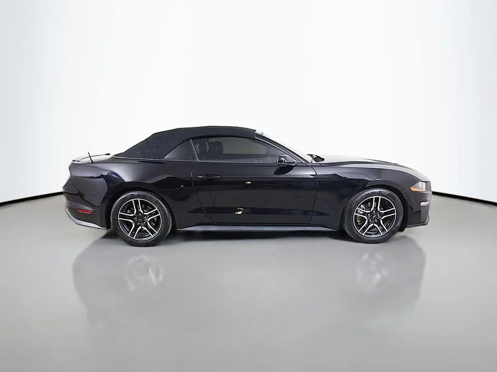 Used 2019 Black Ford EcoBoost Premium image 5