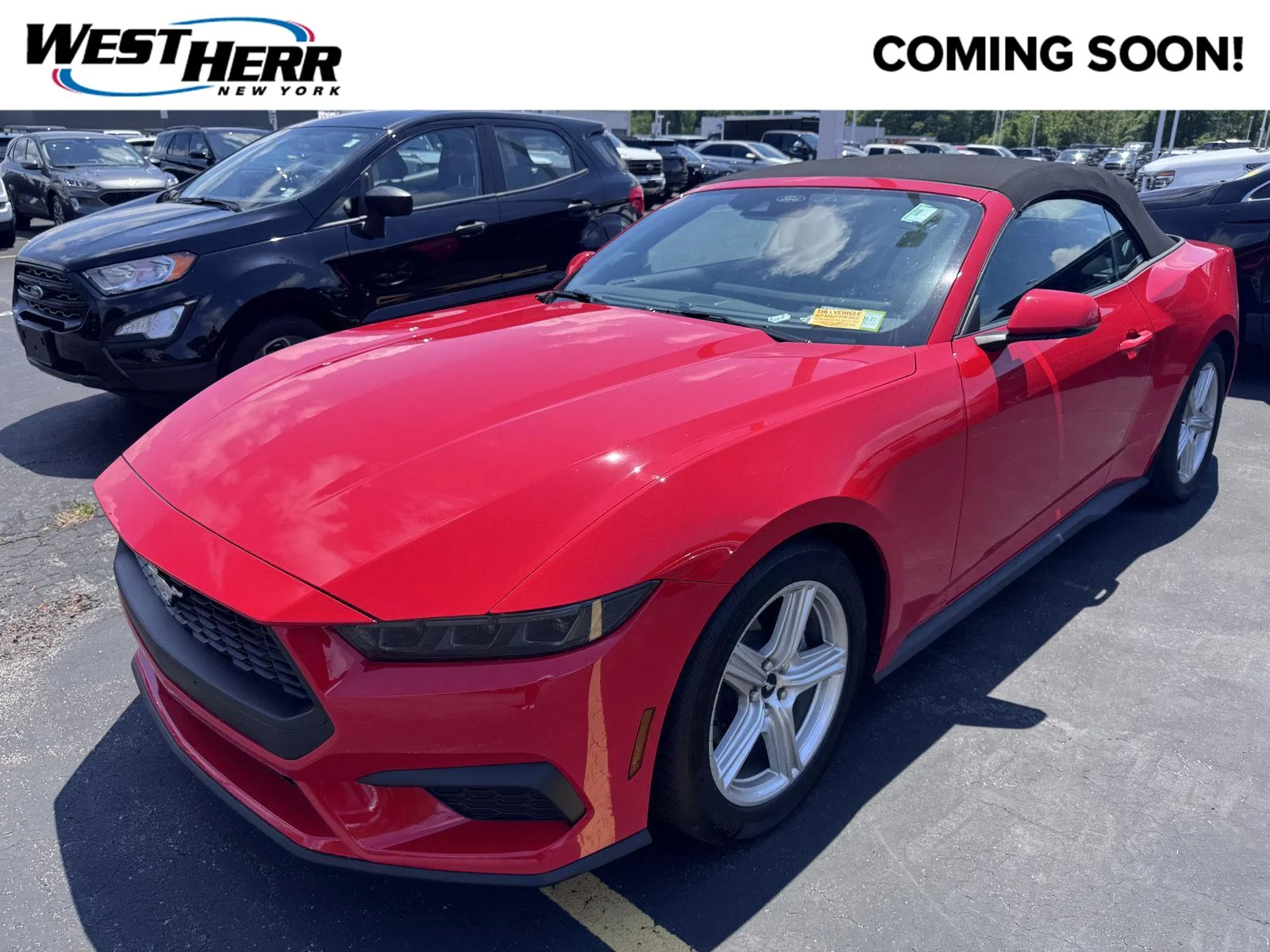 Used 2026 Race Red Ford EcoBoost Premium image 1