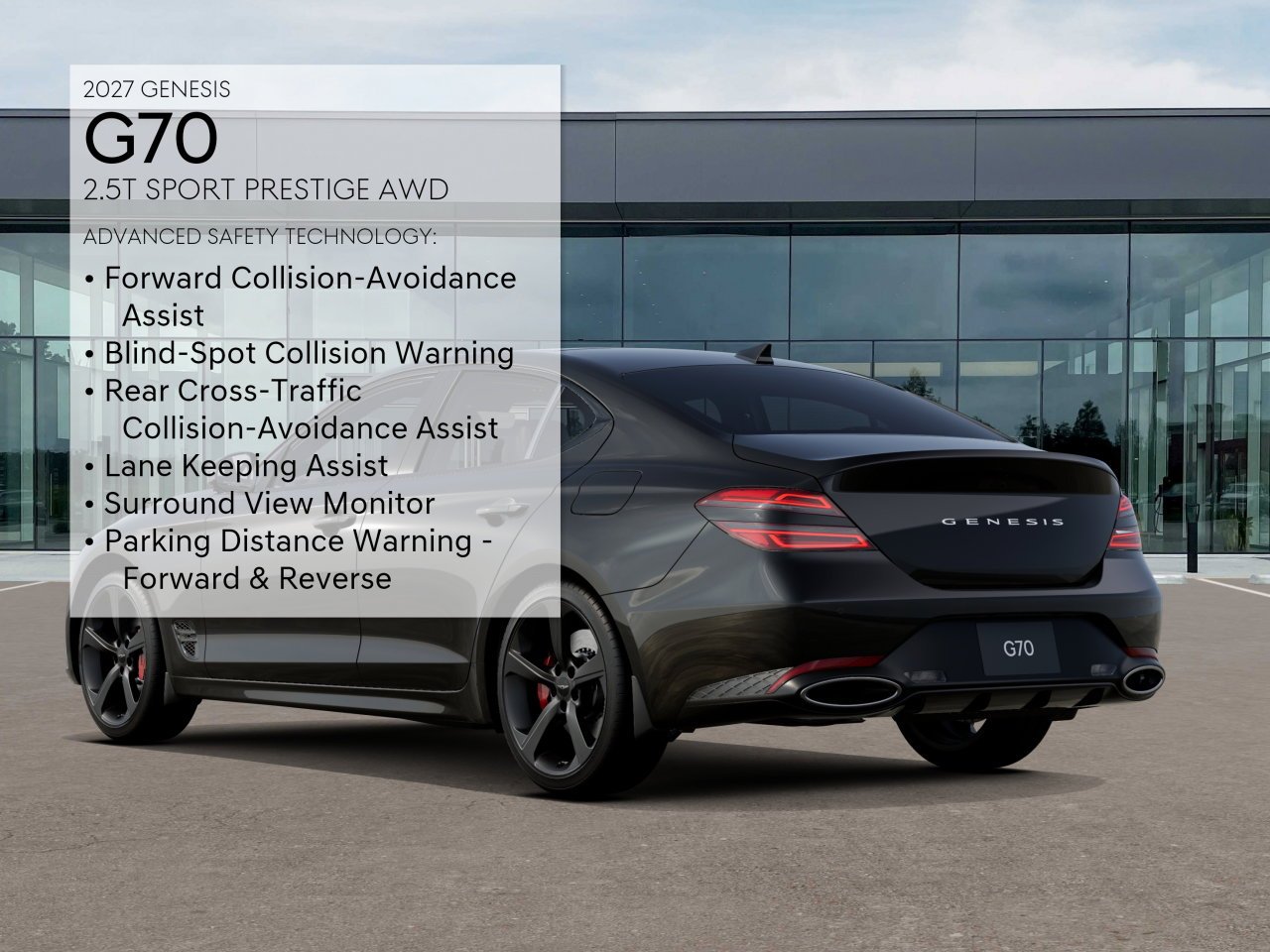 New 2027 Vik Black Genesis Standard image 7