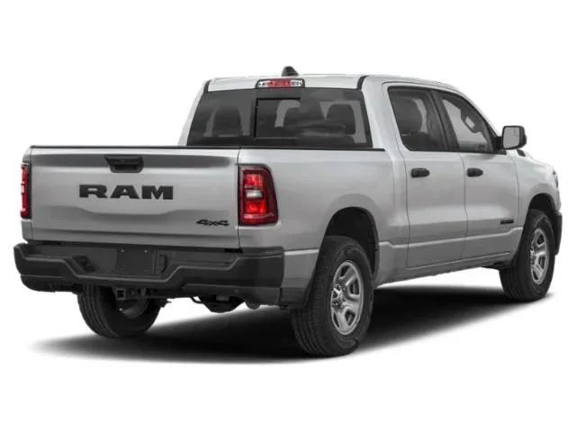 New 2027 Silver Zynith Exterior Paint RAM  image 2
