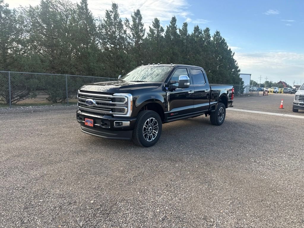 New 2026 Agate Black Metallic Ford Platinum image 2