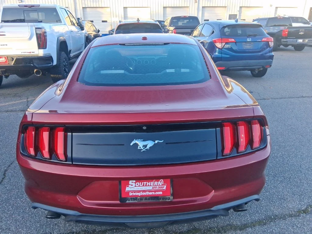 Used 2019 Red Ford EcoBoost image 4