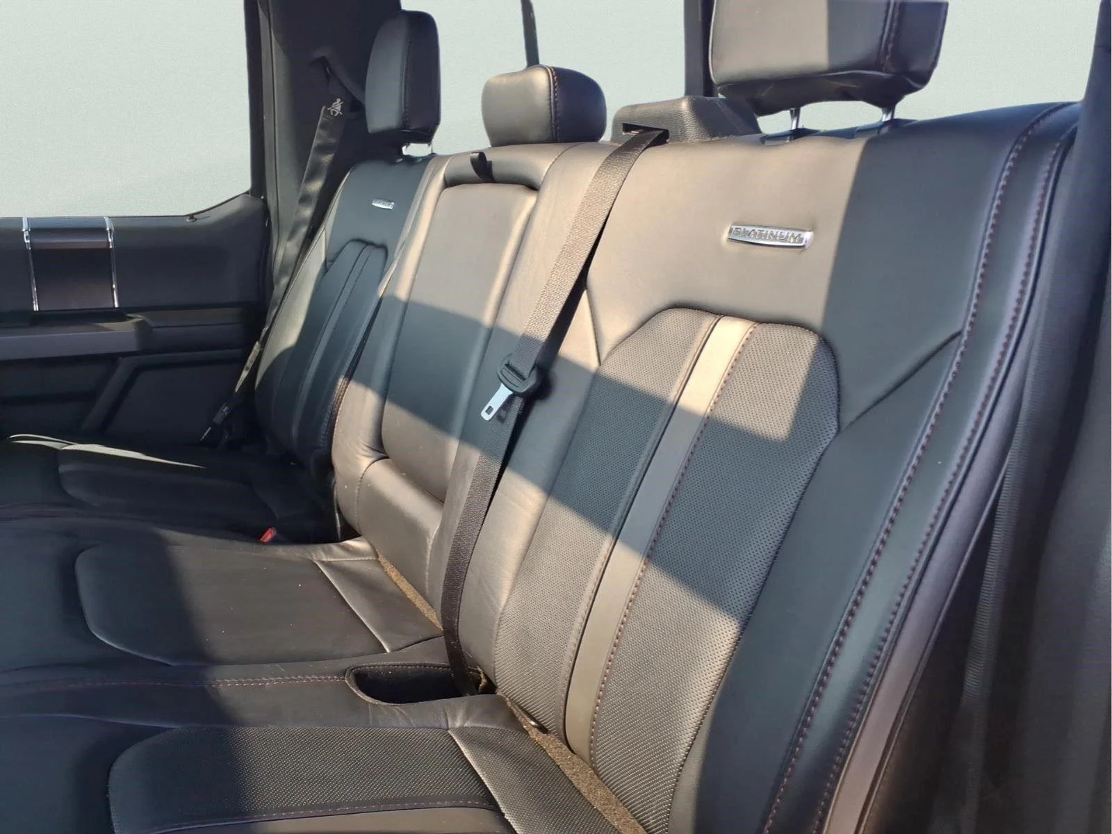 Used 2019 Magnetic Ford Platinum image 13