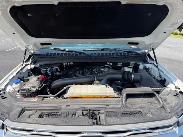 Used 2024 White Ford Platinum image 22
