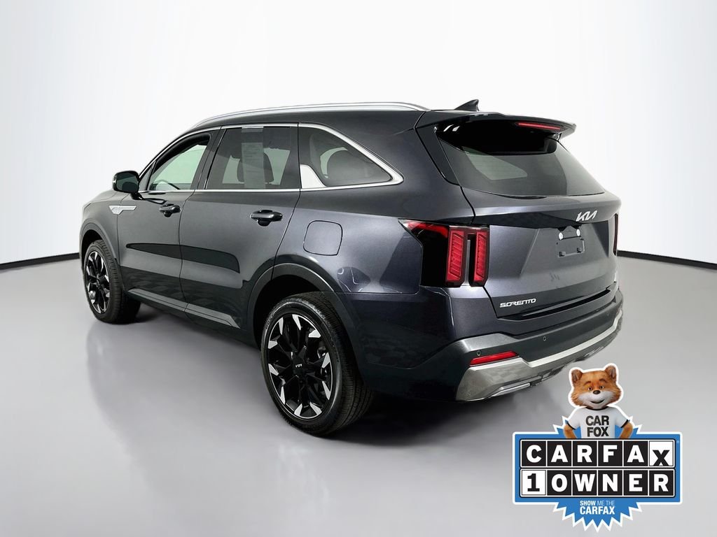 Used 2025 Panthera Metal Kia EX image 6