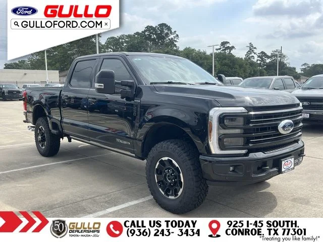 New 2026 Agate Black Metallic Ford Platinum image 1