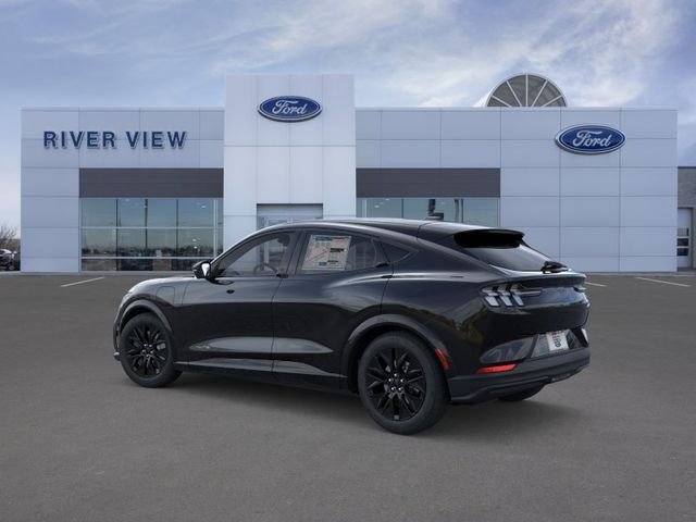 New 2026 Shadow Black Ford Premium image 4