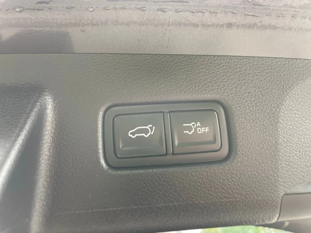 Certified Used 2025 Panthera Metal Kia EX X-Line image 22