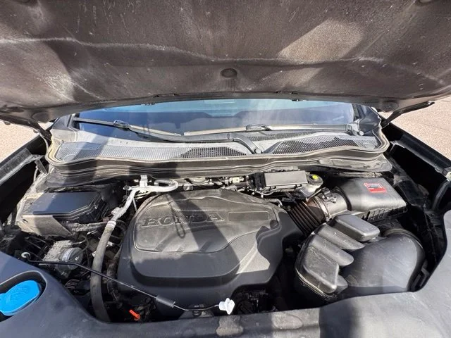 Used 2021 Black Honda Black Edition image 29