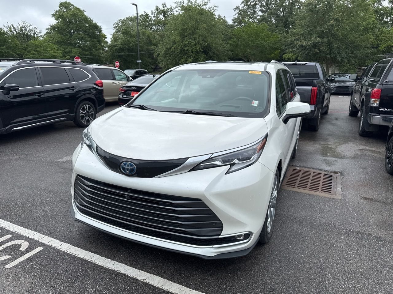 2021 Toyota Sienna Platinum 7-Passenger Hybrid FWD's photo