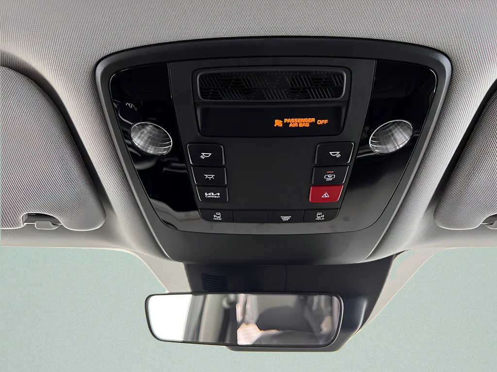 Used 2026 Panthera Metal Kia LXS image 21