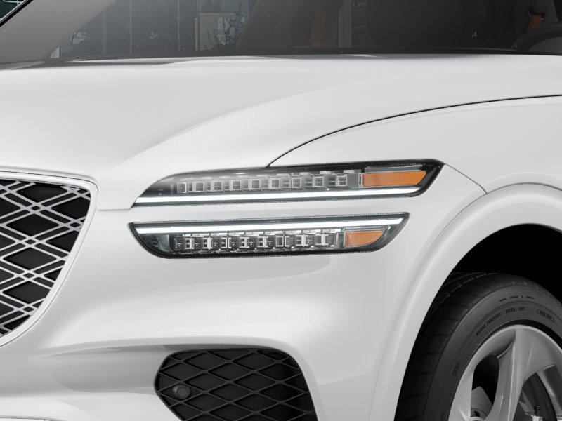 New 2026 Alta White Genesis  image 11