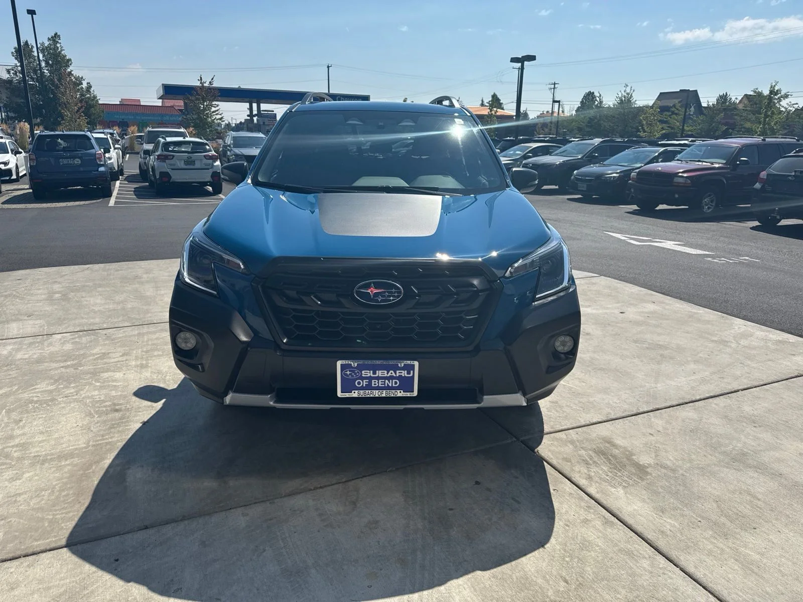 Used 2025 Blue Subaru Wilderness image 8