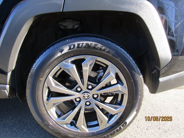Used 2025 Midnight Black Metallic Toyota XLE Premium image 8