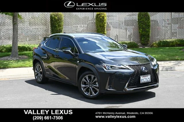 2021 Lexus UX 300h 250h F SPORT AWD's photo