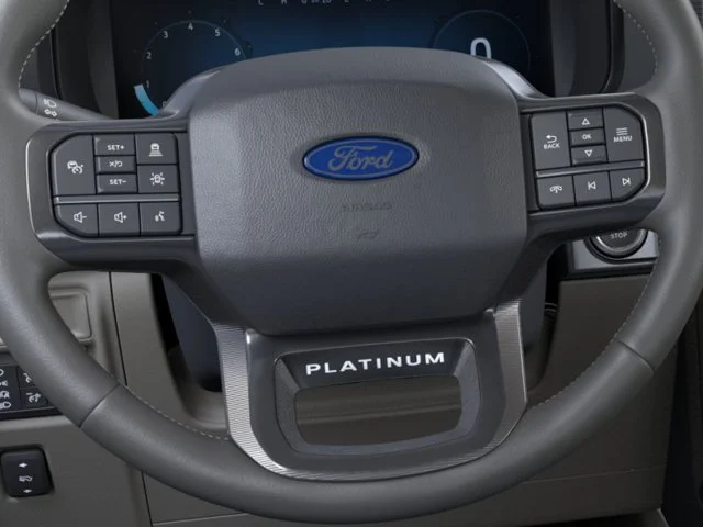 New 2026 Carbonized Gray Metallic Ford Platinum image 12