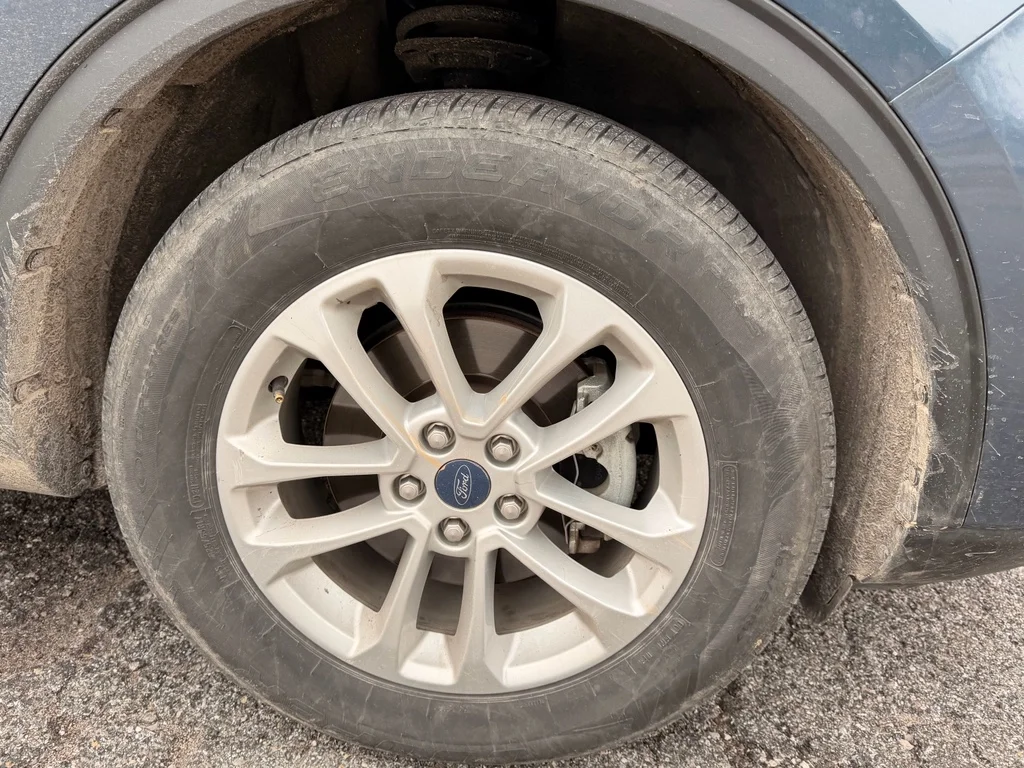 Used 2020 Blue Metallic Ford SE image 9