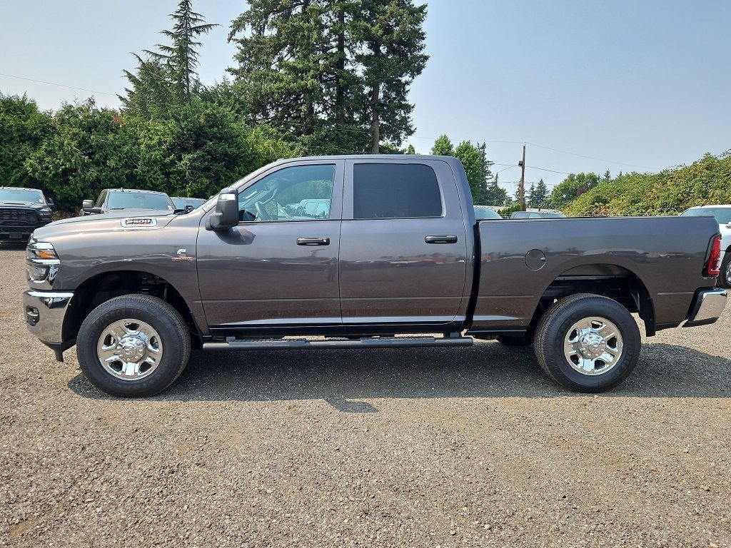 New 2026 Granite Crystal Metallic Clear-Coat Exterior Paint RAM Tradesman image 4