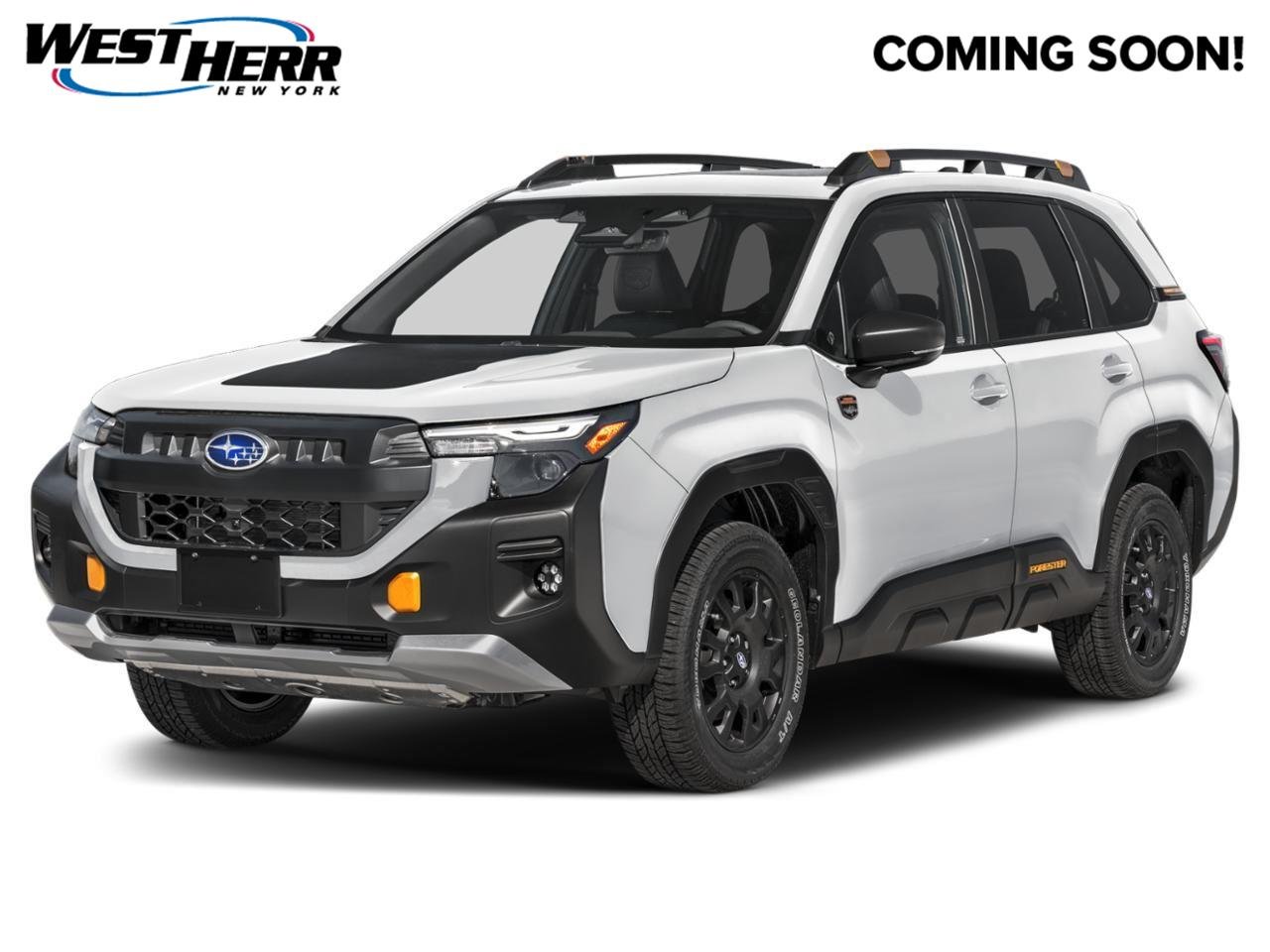 Used 2026 Crystal White Pearl Subaru Wilderness image 1