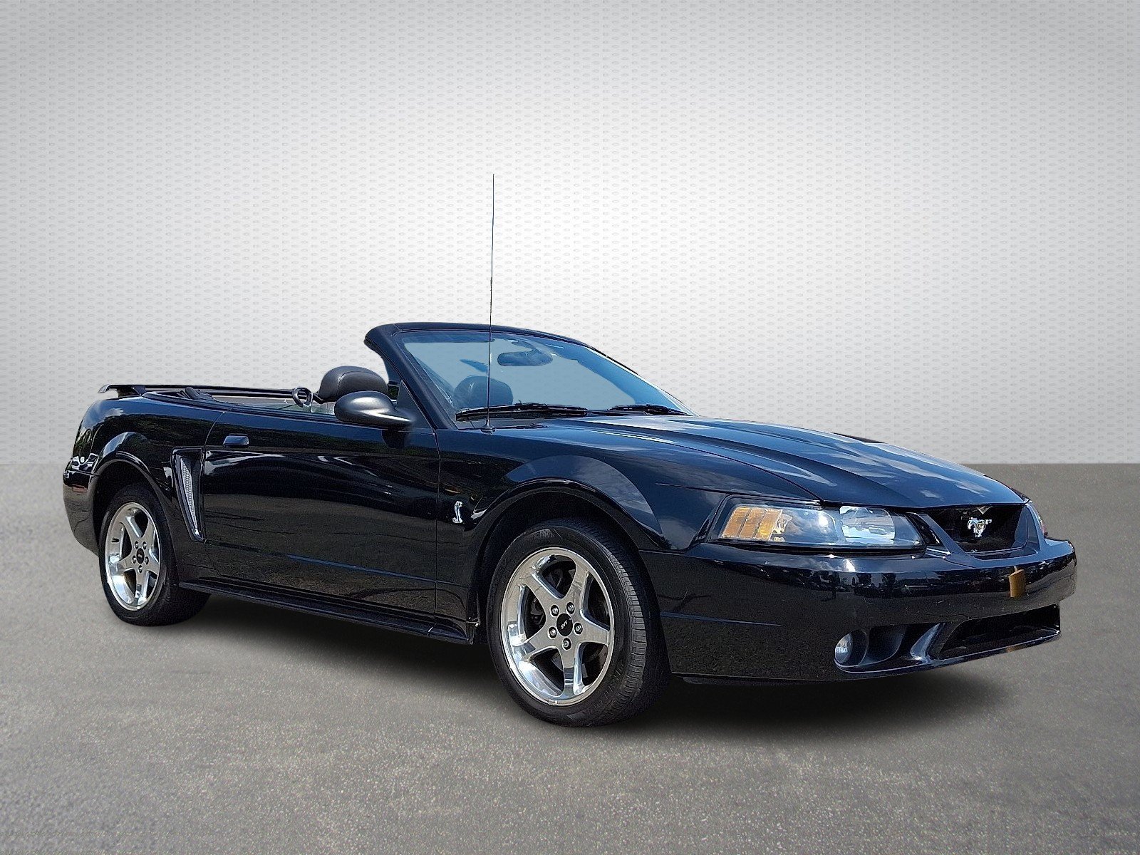 1FAFP46V81F206302