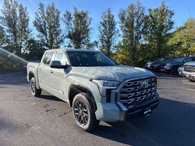 New 2026 Lunar Rock Toyota  Platinum image 2