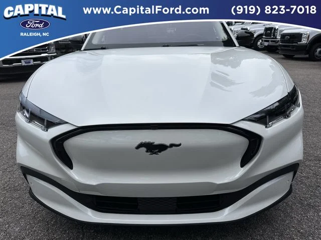 Used 2025 White Ford Premium image 10