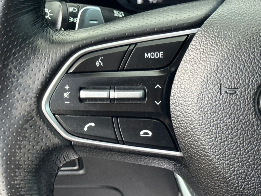 Used 2022 Rainforest Hyundai Calligraphy image 36