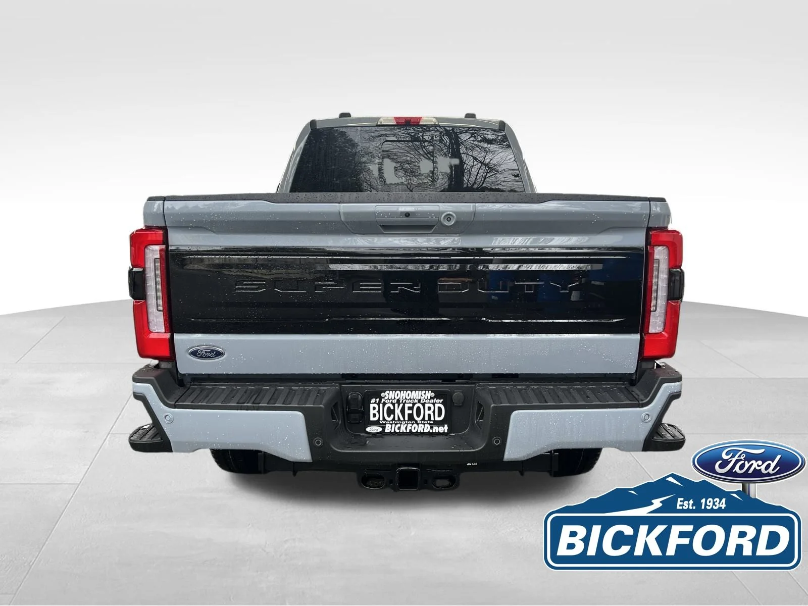 New 2026 Gray Ford Platinum image 6