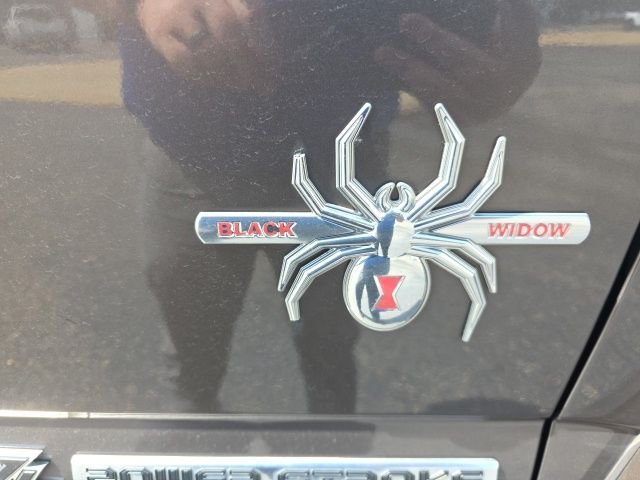 Used 2017 Caribou Metallic Ford King Ranch image 13