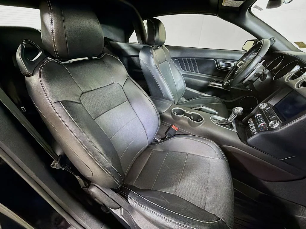Used 2019 Black Ford EcoBoost Premium image 23
