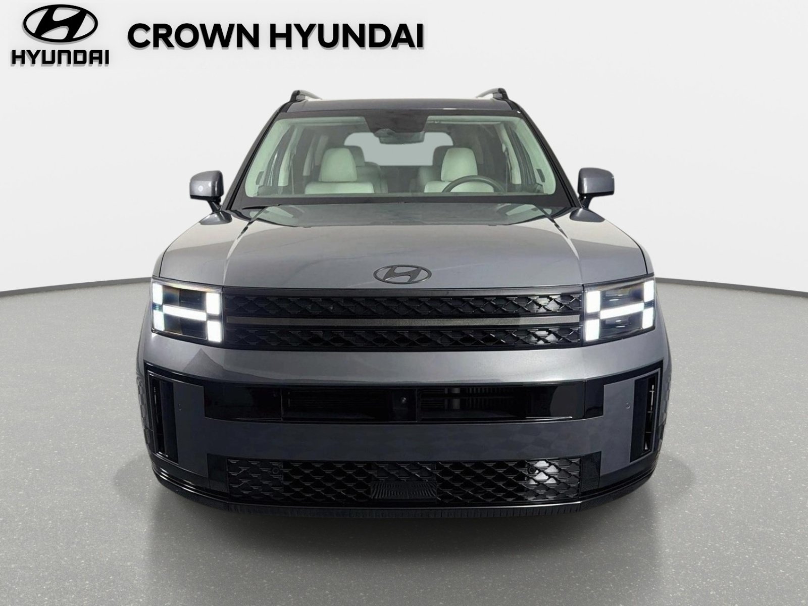 Used 2024 Ecotronic Gray Hyundai Calligraphy image 2