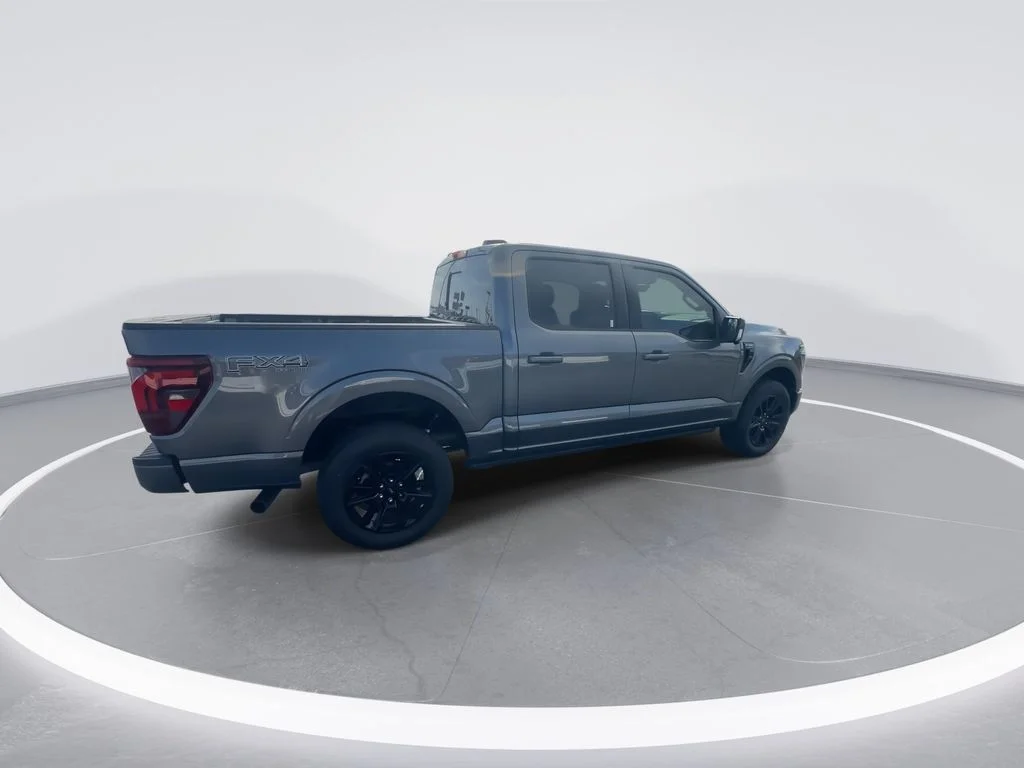 Used 2024 Gray Ford Platinum image 9
