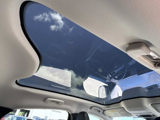 Used 2023 Blue Ford California Route 1 image 34