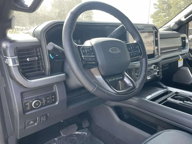 New 2026 Black Ford Platinum image 14